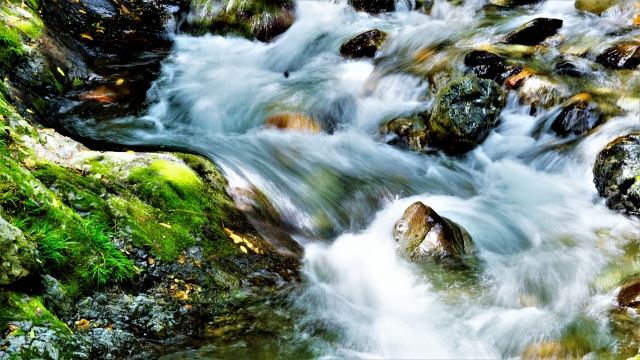 シンプルな材料で作られている三輪素麺は贈答用にもおすすめ！